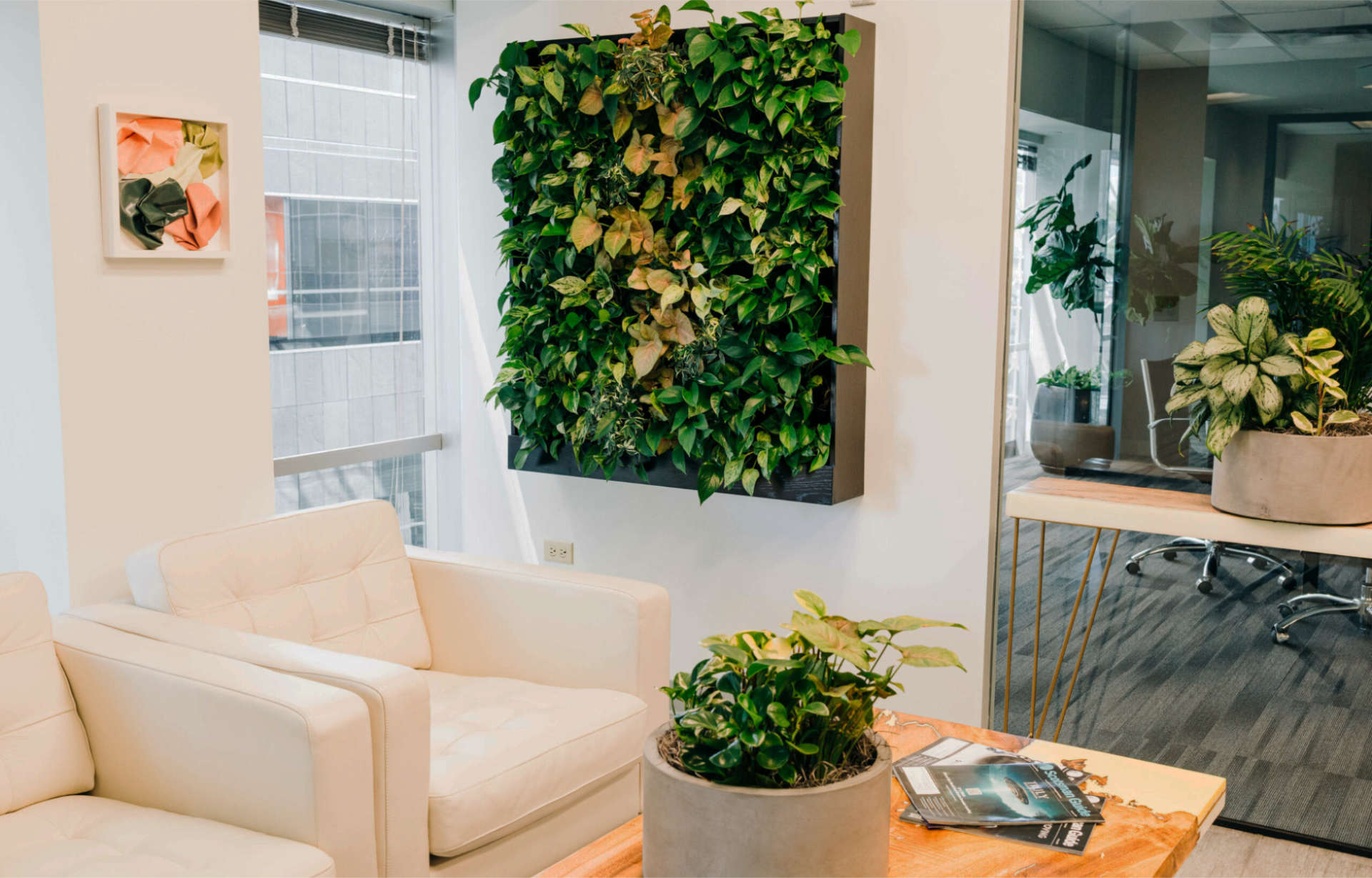 Living wall