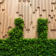 Living wall