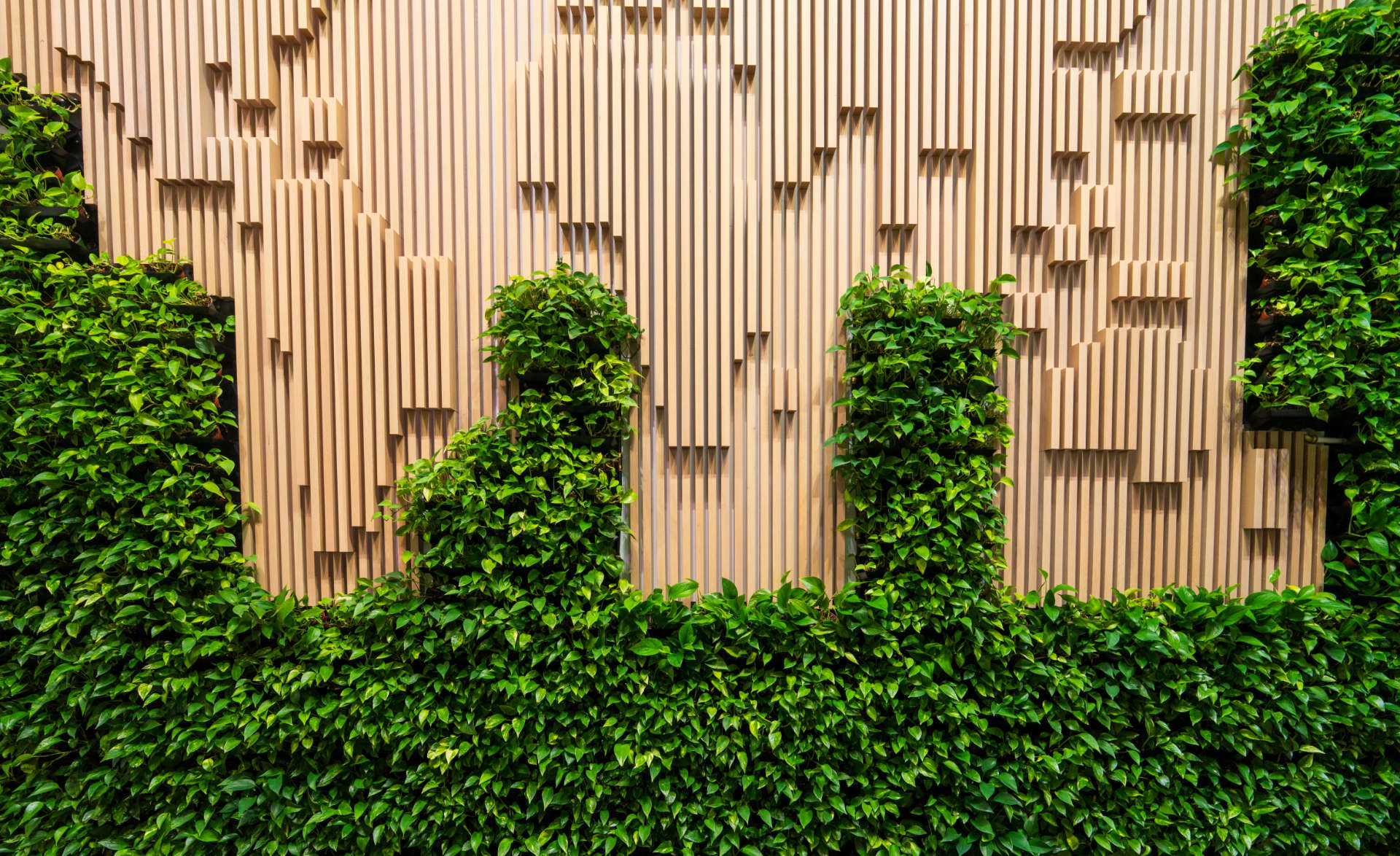 Living wall