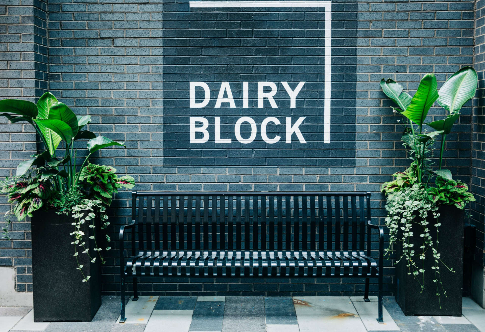 exterior-dairyblock Dairy Block Exterior