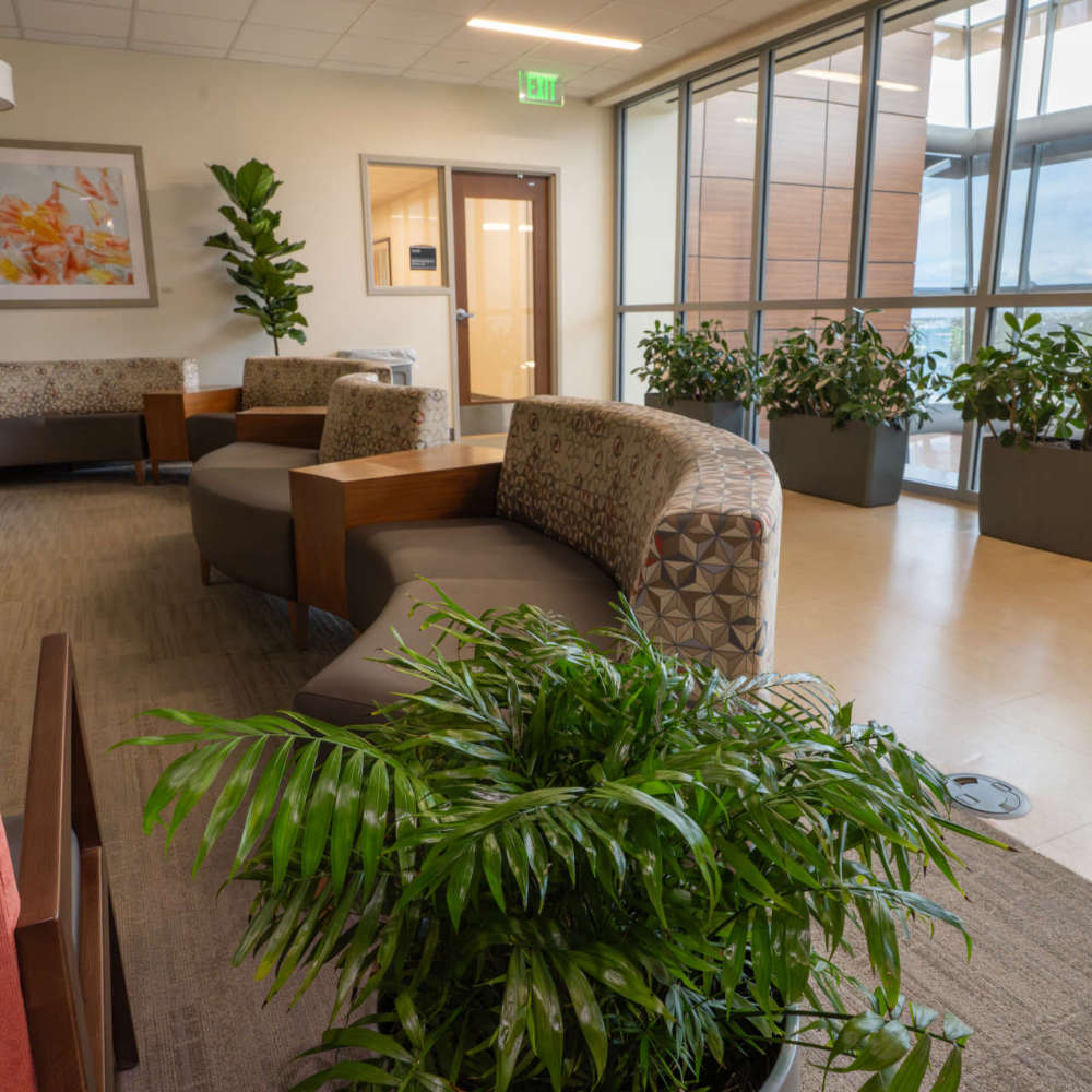bioliphic-2 Bioliphic design - lobby
