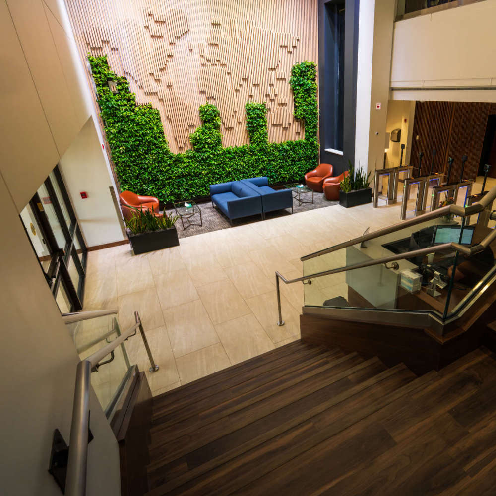living-wall-from-stairs